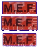 MEF types detail 300